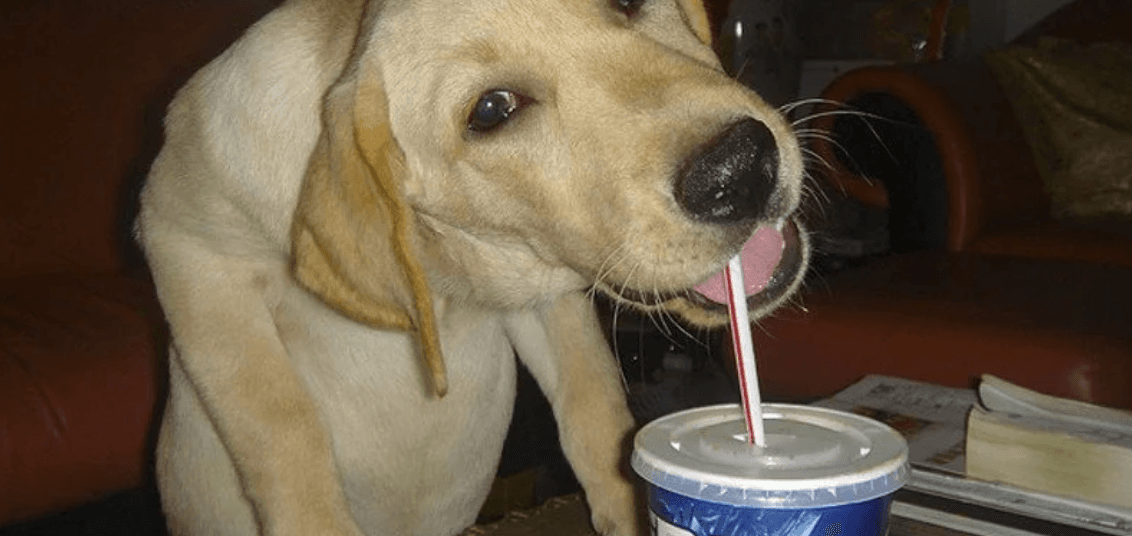 Full width header banner